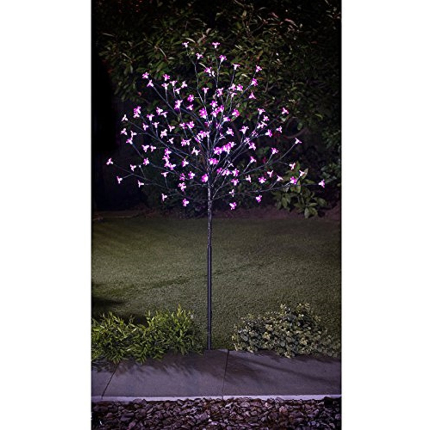 Image of 4 FT Cherry Blossom Tree -&hellip;