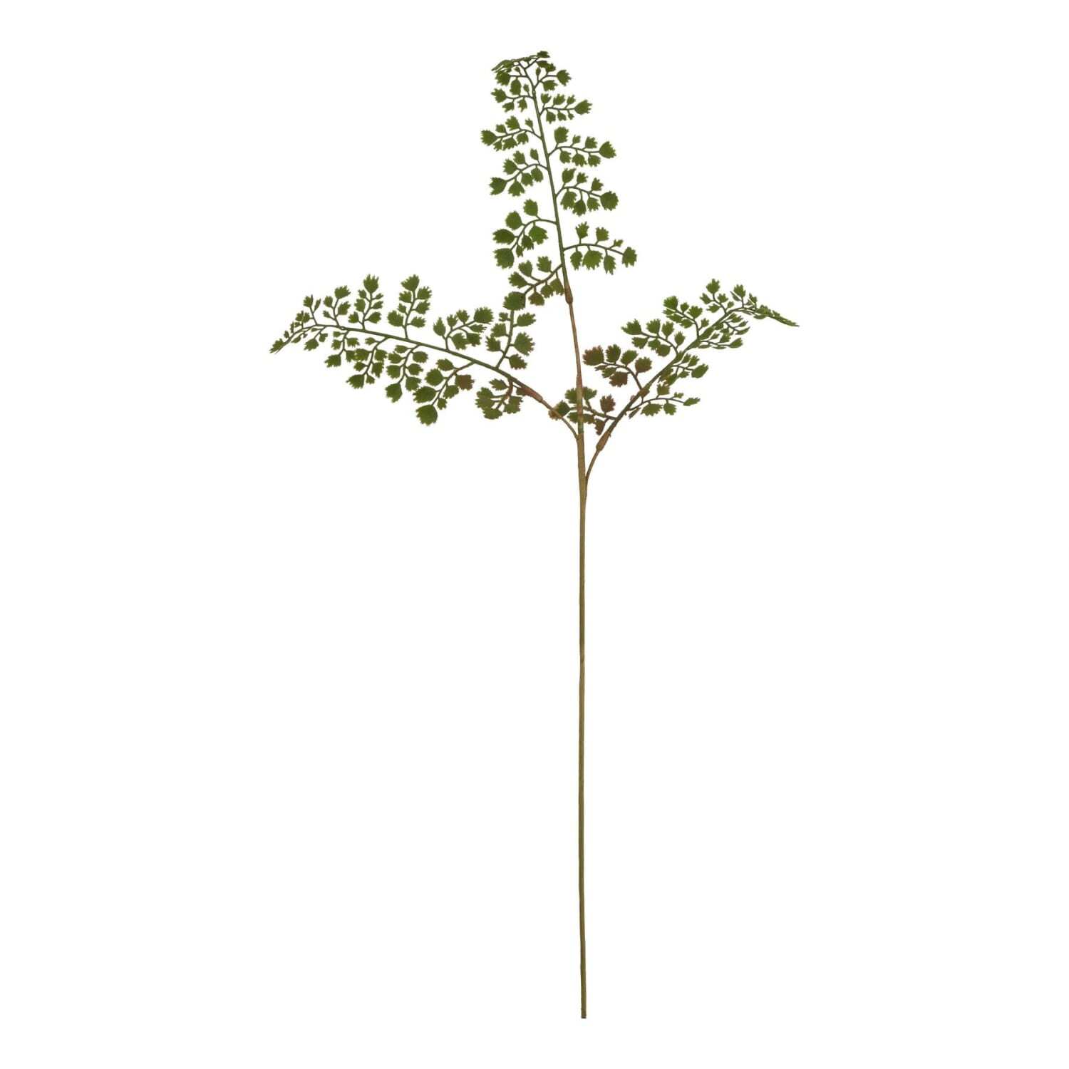 Set of 3 Maidenhair Fern Artificial Stems - Green