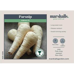 Marshalls Garden Albion F1 Parsnip Seeds - Disease-Resistant, RHS Award