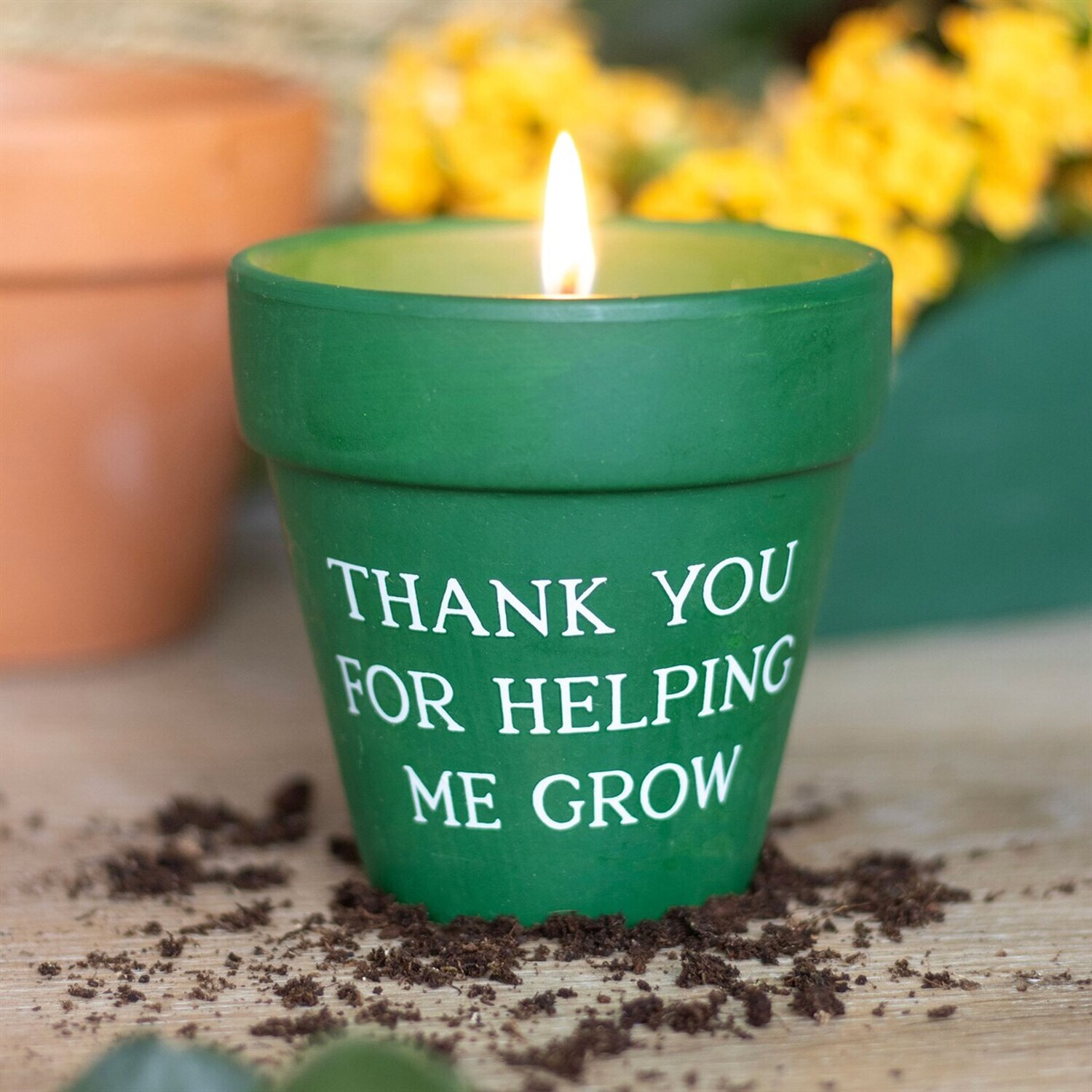 Citronella Outdoor Candle And Pot - Green