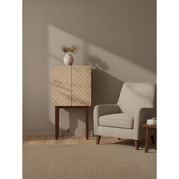Costal Mango Wood Cabinet