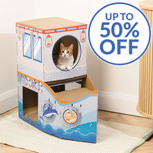 bank holiday