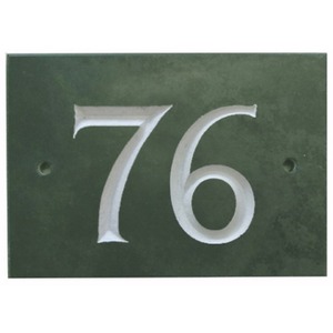  shot 739134