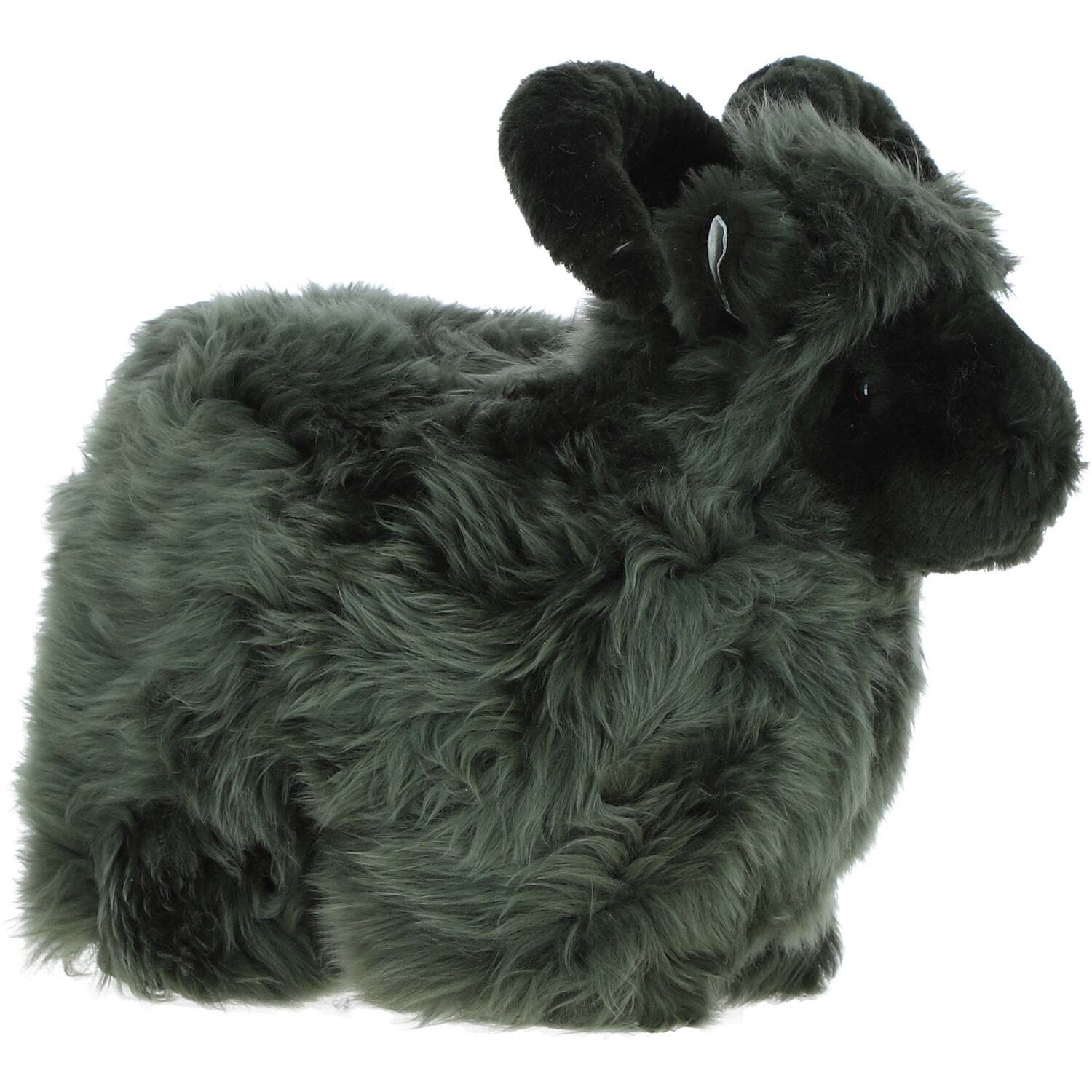 Lucky Sheep - Cypress