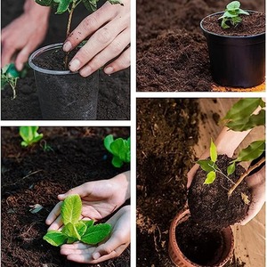20L Multi-Purpose Compost Soil