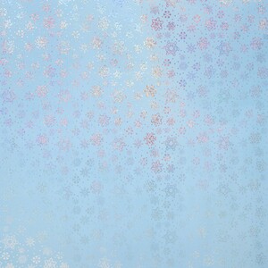  shot 10480633