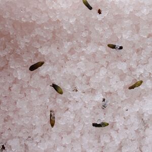 Himalayan Bath Salt Blend Relax