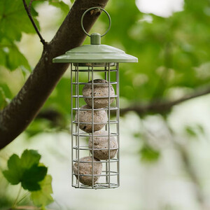 Peckish Canto Energy Ball Feeder