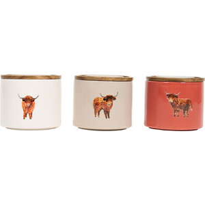 Set of 3 Highland Cow Stacking Canisters