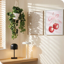 Student Living Decor