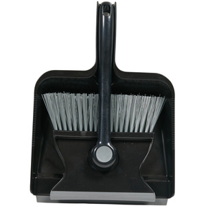 Dustpan and Brush Squeegee set