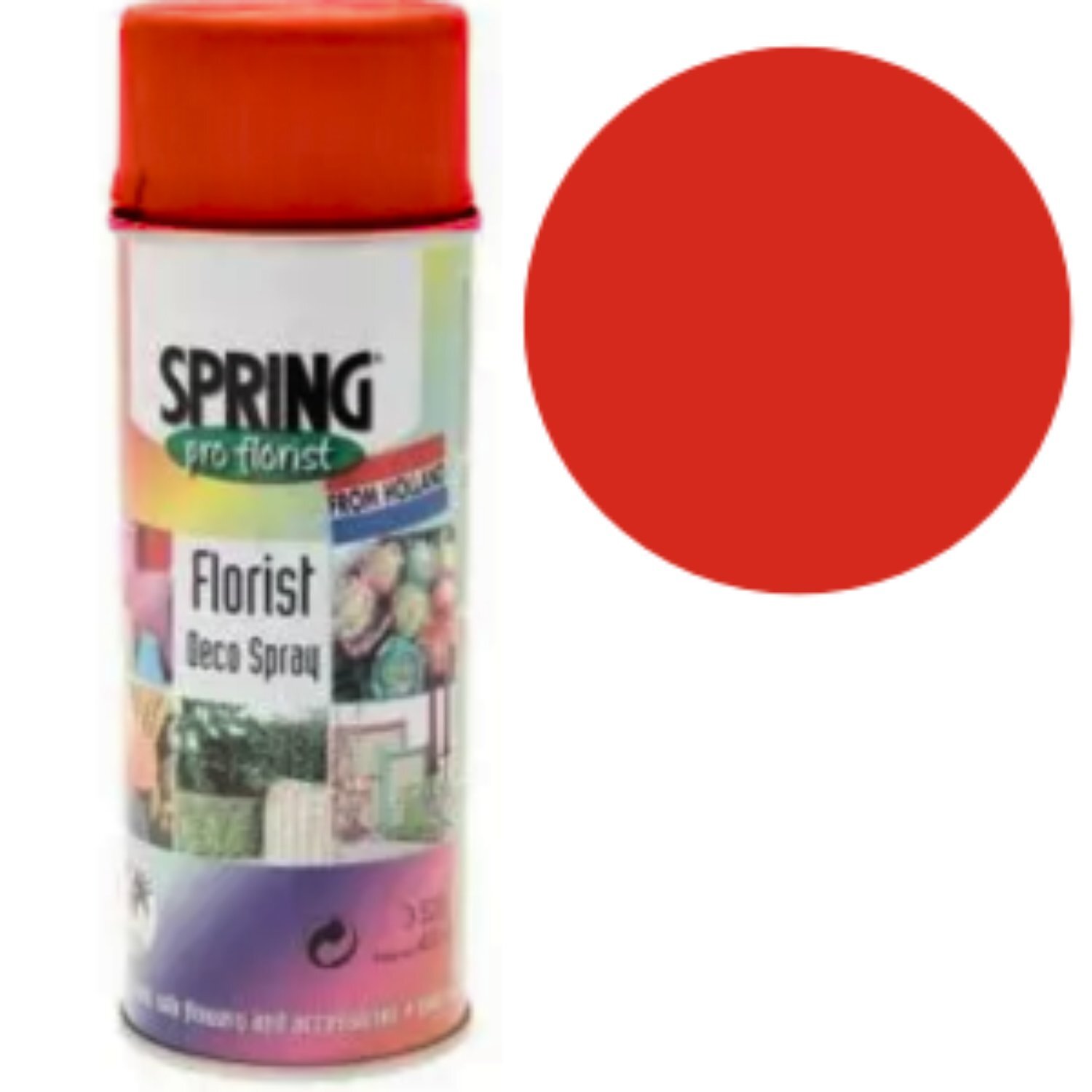  - Floral Orange Euro- Can PaintRed - Image 3