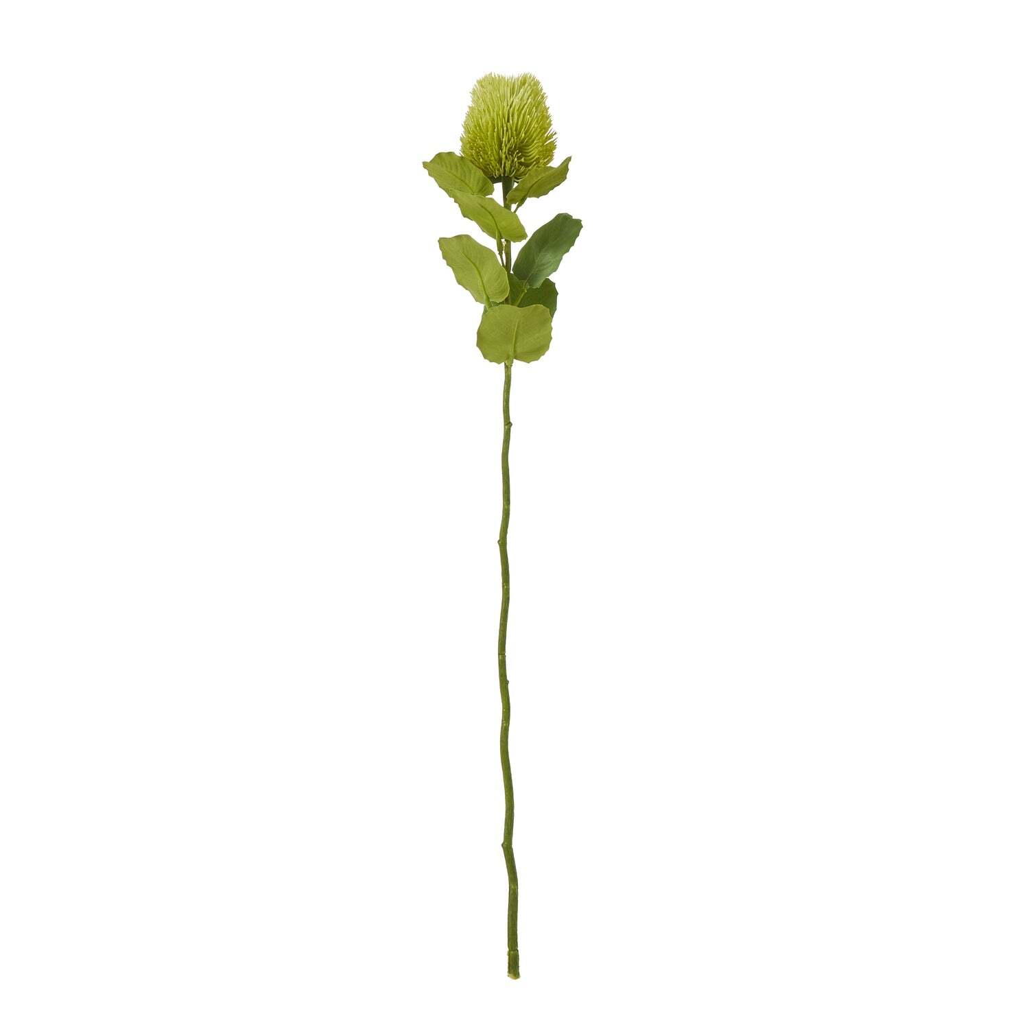 Sostter Green Faux Banksia Flower Stem - Image 3