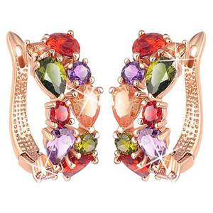 Sparkling Flowerets Zirconia Earrings