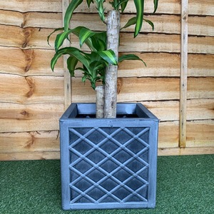 Small Grey Lattice Effect Square Planter