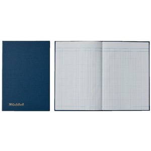 Accounts Book 12 Cash Columns