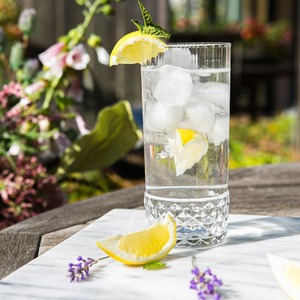 America '20s Highball Glasses