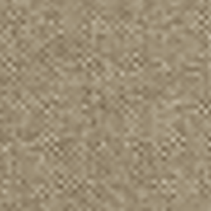  shot 9138016