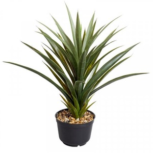 Artificial Spiky Sisal Plant