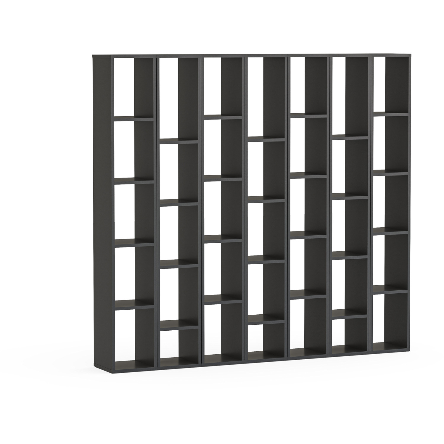 Lion Bookcase - Black