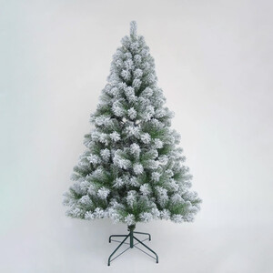 6ft Colorado Spruce Christmas Tree