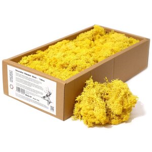 Vibrant Yellow Decorative Reindeer Moss Premium Quality