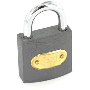 Securit Tricircle Iron Padlock Brass Cylinder