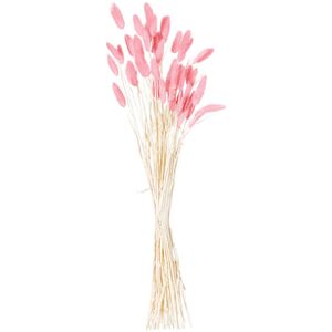 Dried Pale Pink Bunny Tail Bunch Boho Accent