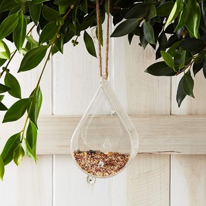 Dewdrop Window Bird Feeder