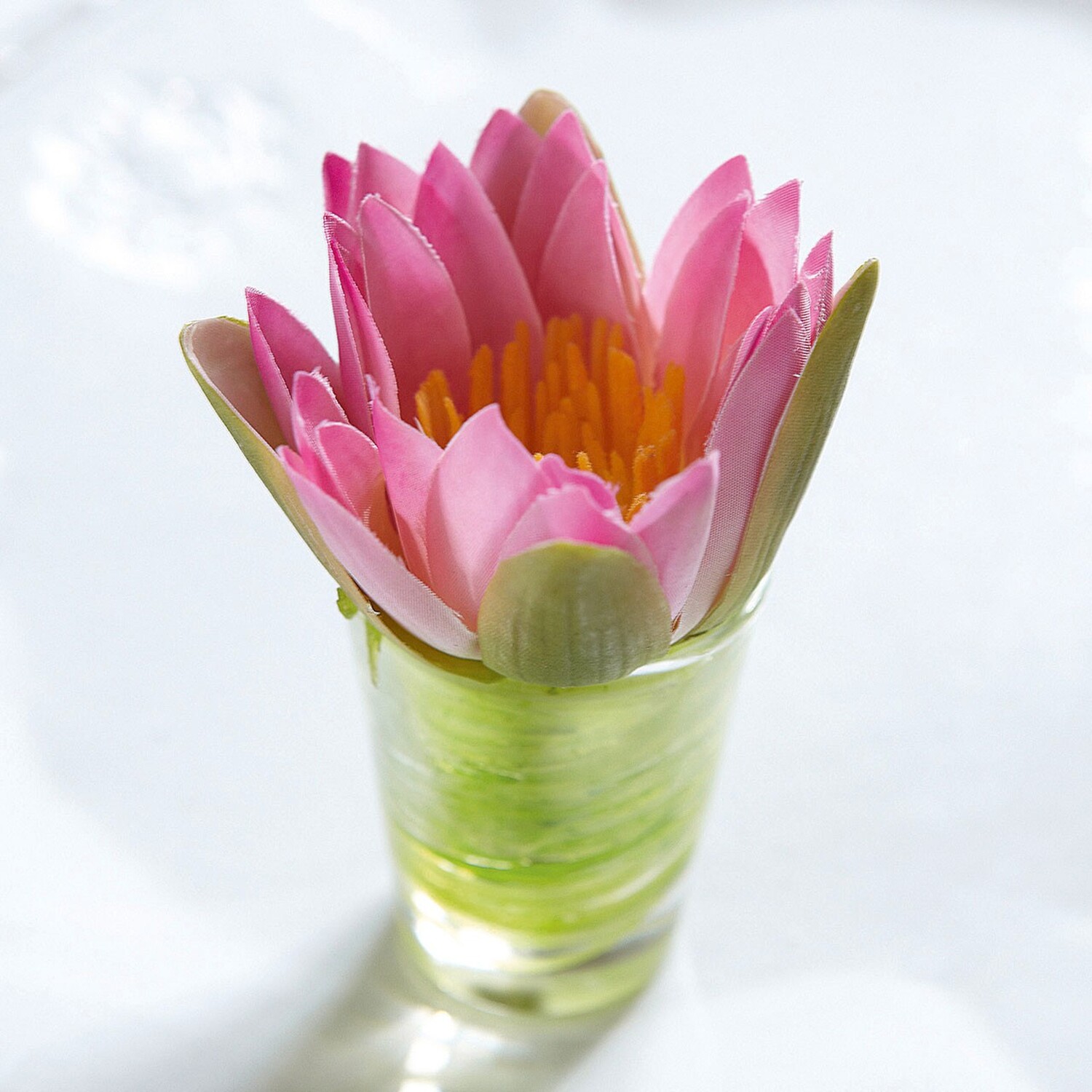 Flower of the Month - Green / July