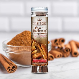 6 Scented Christmas Tree Ornaments Hanging Sticks Dashes Of Cinnamon