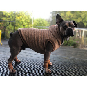 Pet Leg Warmers