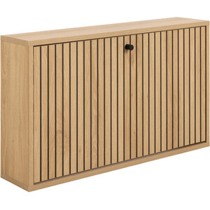 Albany Wall Mountable Shoe Cabinet