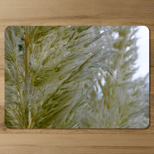 Autumn pampas grass close up Designer Placemat Set