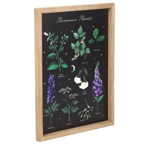Poisonous Plants Wall Art - Framed Gothic Botanical Print