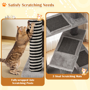 Cat Climbing Activity Center