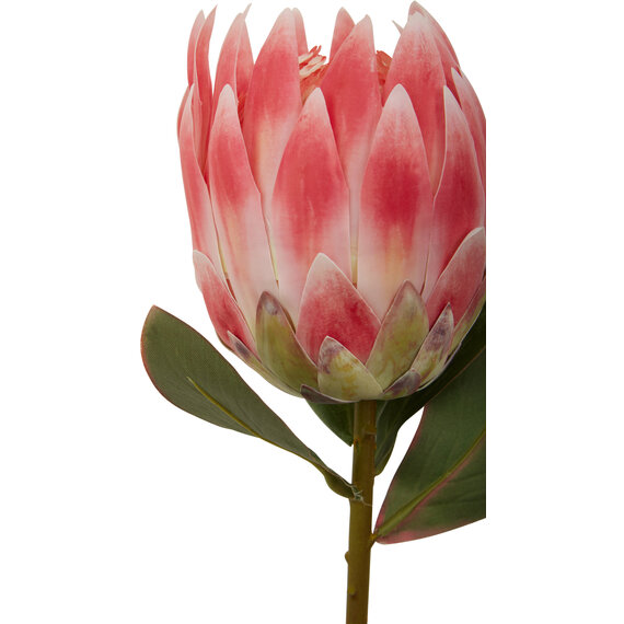 Fiori Pink Protea Flower Stem