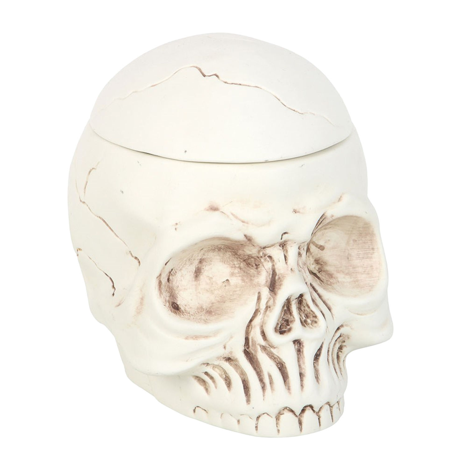 Something Different Weathered Skull Oil Burner Set - White