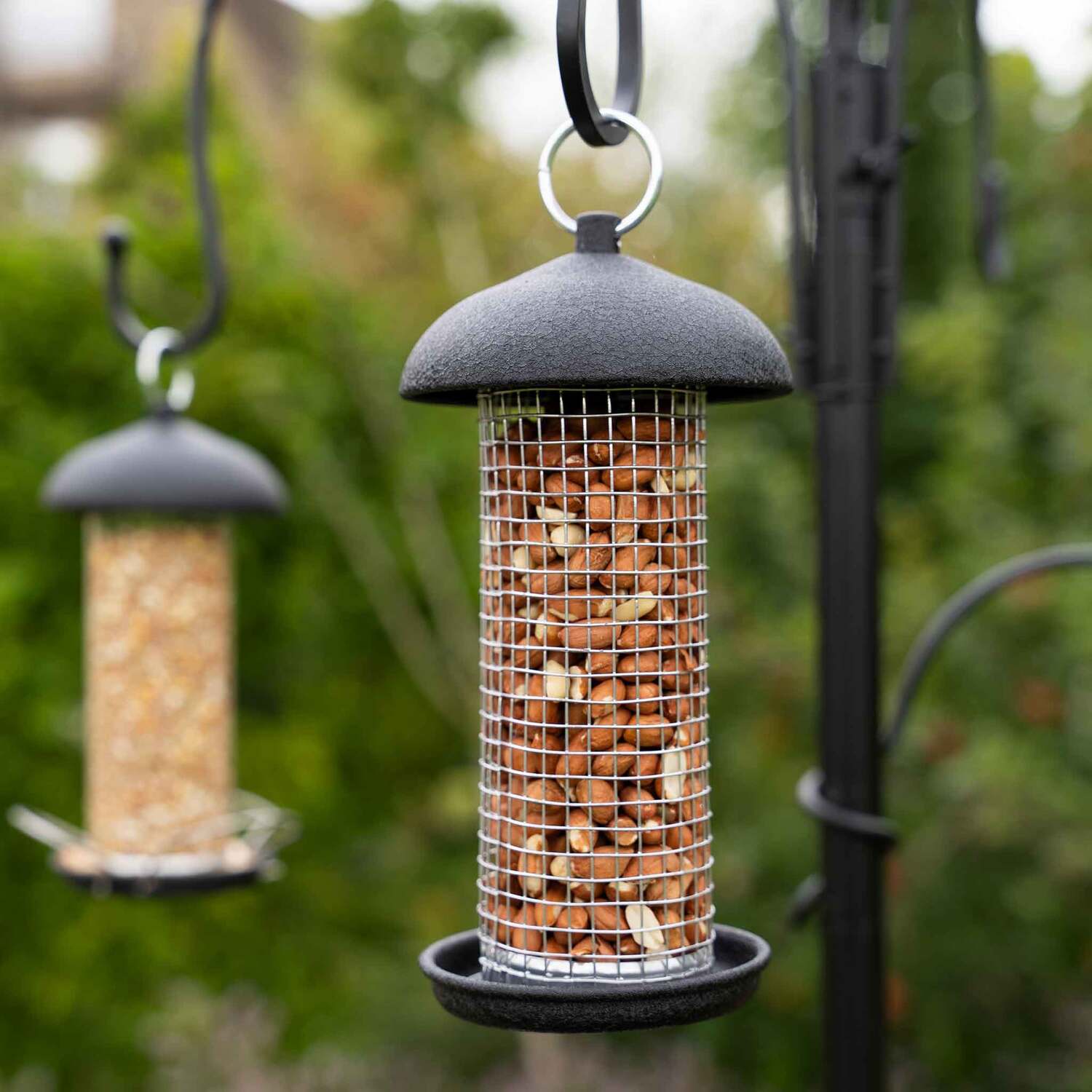 Image of Gardman Black Steel Small Peanut Feeder&hellip;