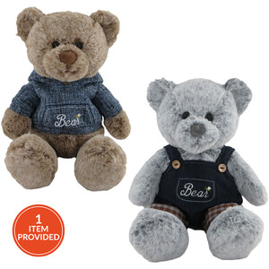 Clothed Teddy Bear