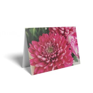 Dark Pink Chrysanthemum Folded Card with Care Info 125 Pack