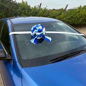 Big Blue Bow for gift wrapping (25cm diameter)
