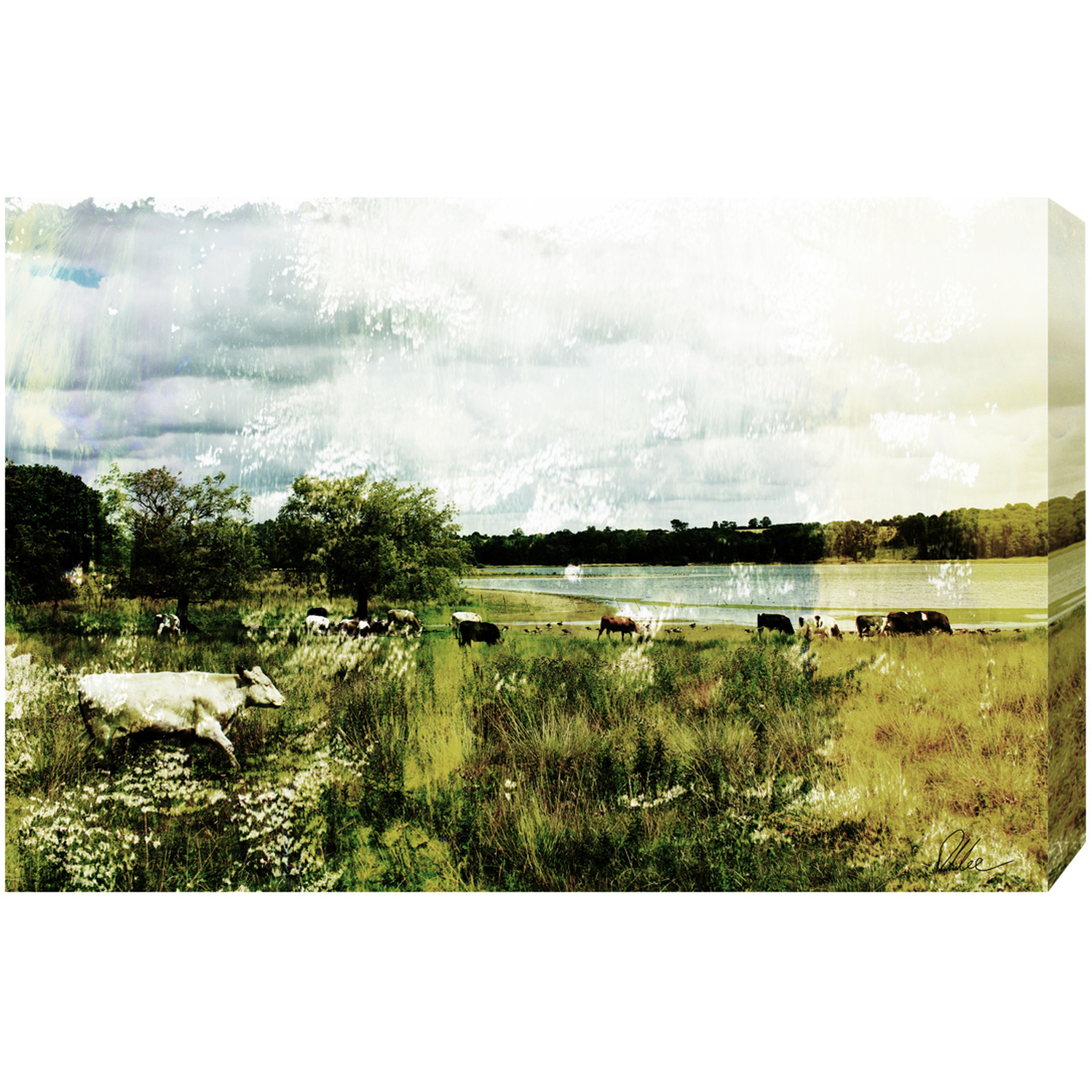 CountrySide Vintage Cow Art Print Wrapped on Canvas - Green / 112cm