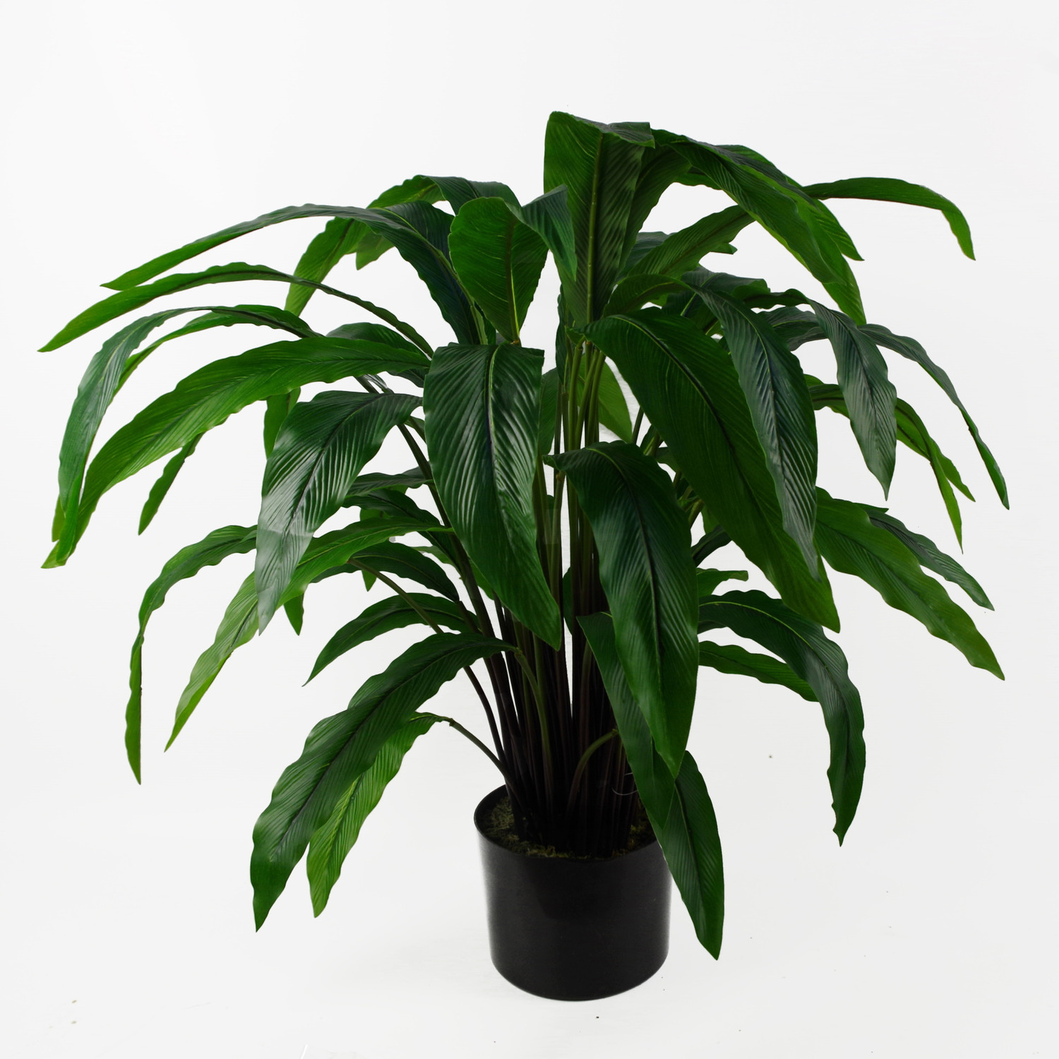 60cm Artificial Calathea Plant Realistic Indoor Tropical Potted Home Decor - Image 4