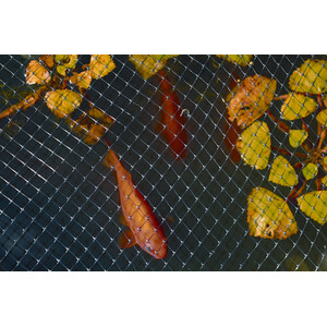 Crop and Pond Protection Net