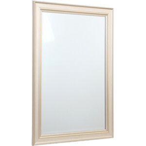  shot 6397519