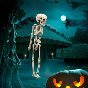 Halloween Posable Hanging Skeleton
