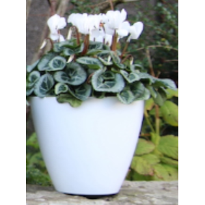 Matte White / 30.5cm Savannah Planter 30cm shot 7507911