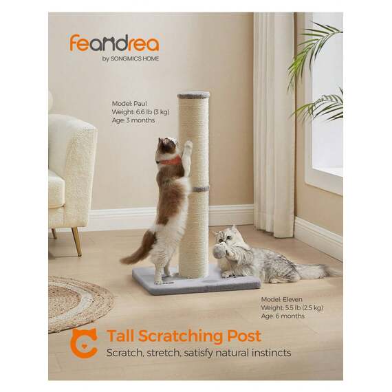 FEANDREA Cat Scratching Post with Spring Pompom