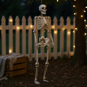 Halloween Realistic Skeleton with Posable Joints 160cm